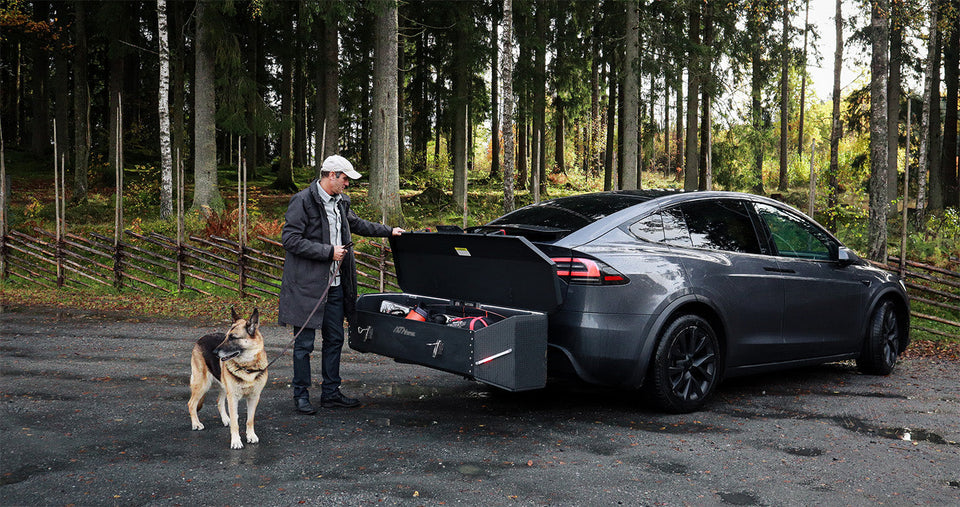 Travelling With a Dog and Luggage: Who Gets the Boot?